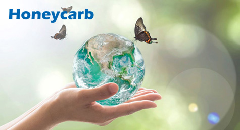 ѡ�����ǻ���̿��Ʒ�������յļ���֪ʶ